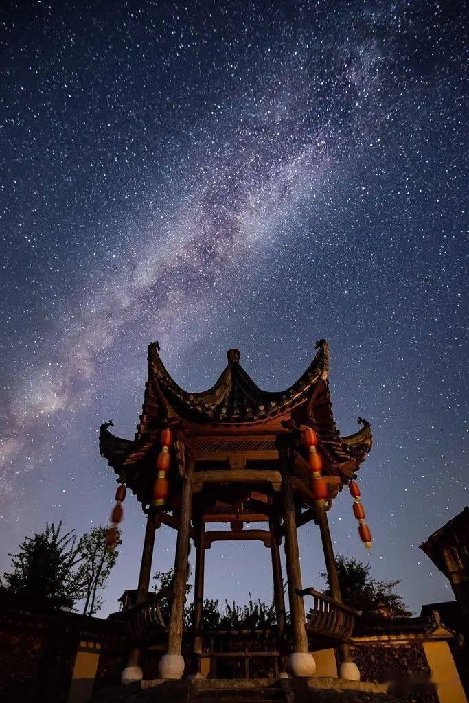 春雨直播app