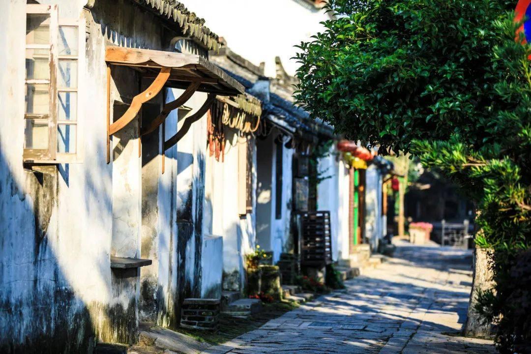 小猫钓鱼正版下载中文版